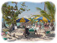 Click to view the photos