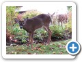 20141015_105903