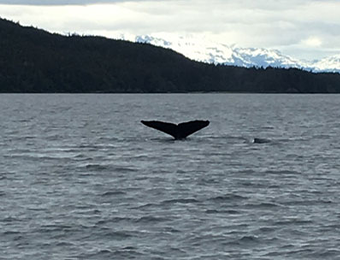Alaska at Sea